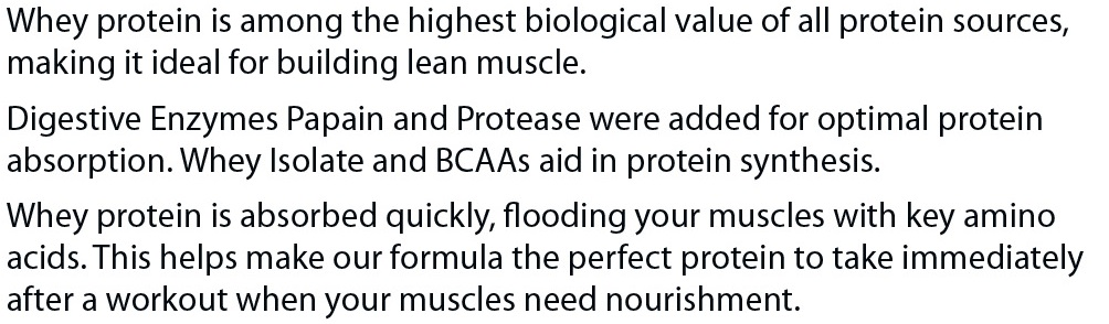 Absolute Whey - Chocolate - Mercantile Mountain