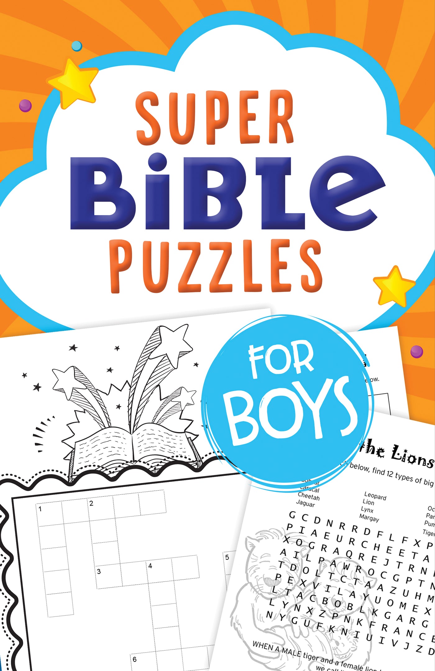 Super Bible Puzzles for Boys - Mercantile Mountain