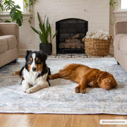 Afya Washable Area Rug - Mercantile Mountain