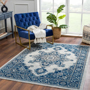 Istanbul Medallion Blue Area Carpet - Clearance - Mercantile Mountain