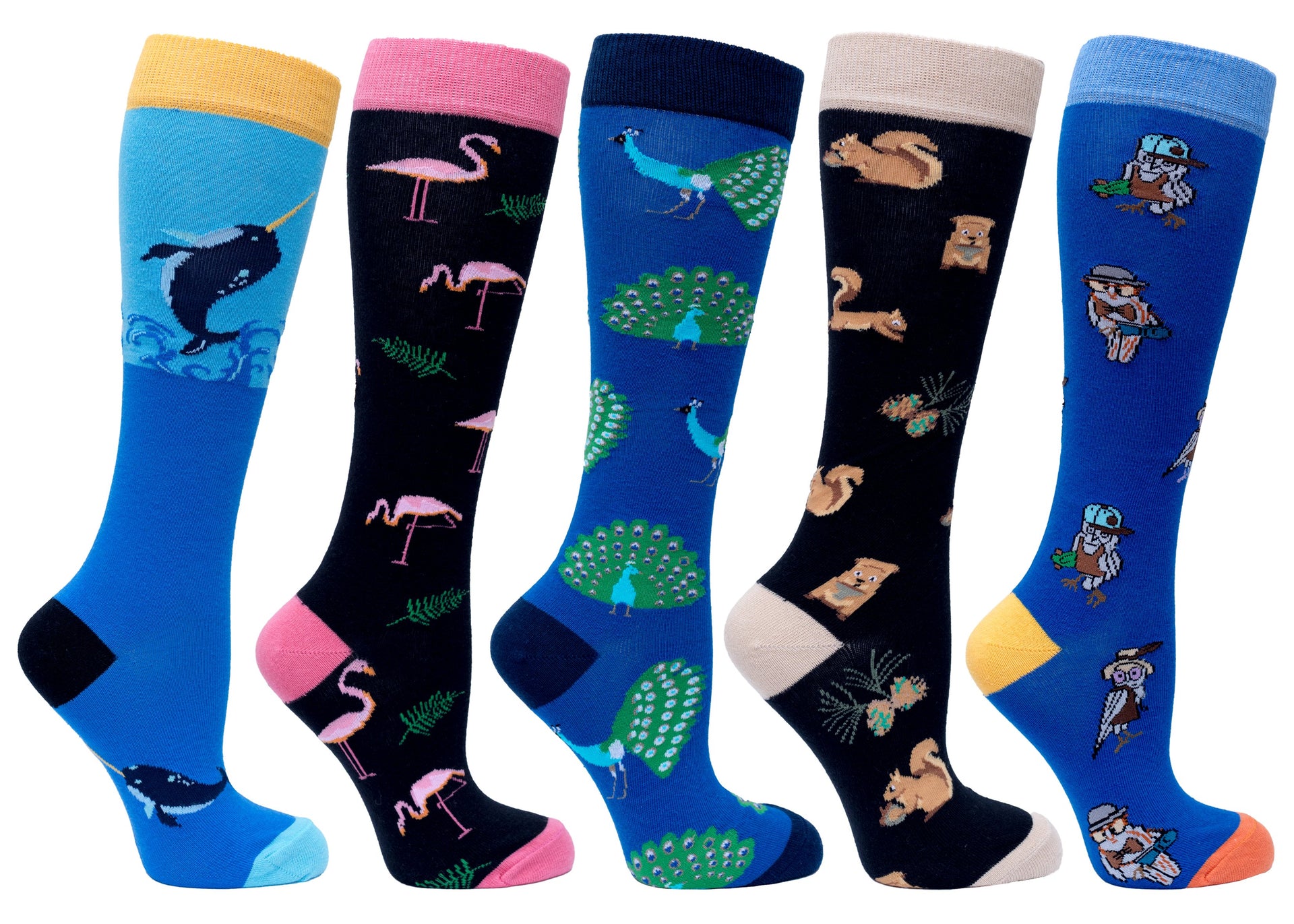 Women's Animal Planet Knee High Socks Set - Mercantile Mountain