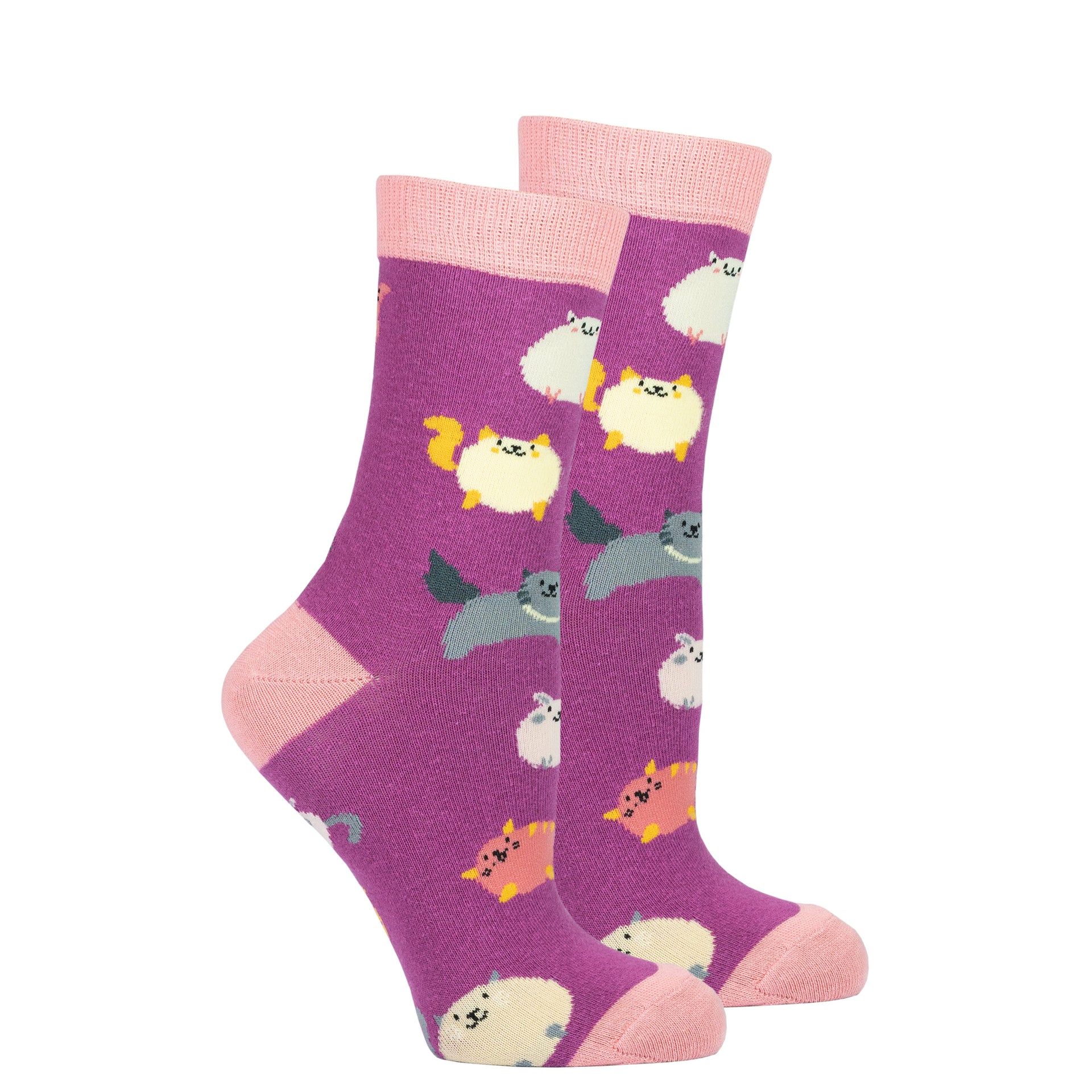 Women's Cute Cats Socks Set - Mercantile Mountain