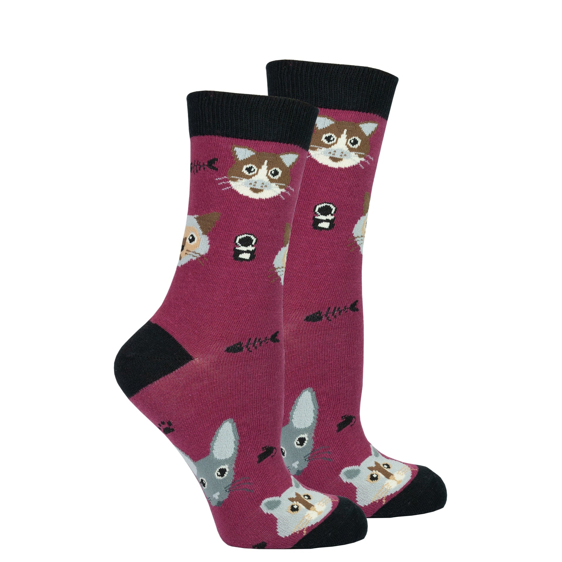 Women's Cute Cats Socks Set - Mercantile Mountain