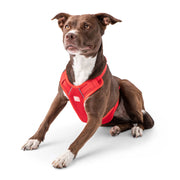 Travel Harness - Red - Mercantile Mountain