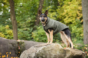 US Army Dog Parka - Dark Camo - Mercantile Mountain