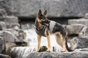 US Army Dog Cooling Vest - Grey - Mercantile Mountain